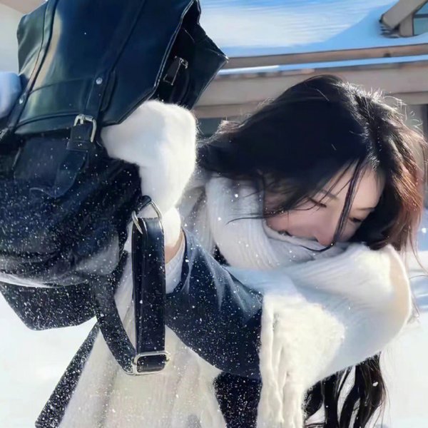机动部队—伙伴 海报